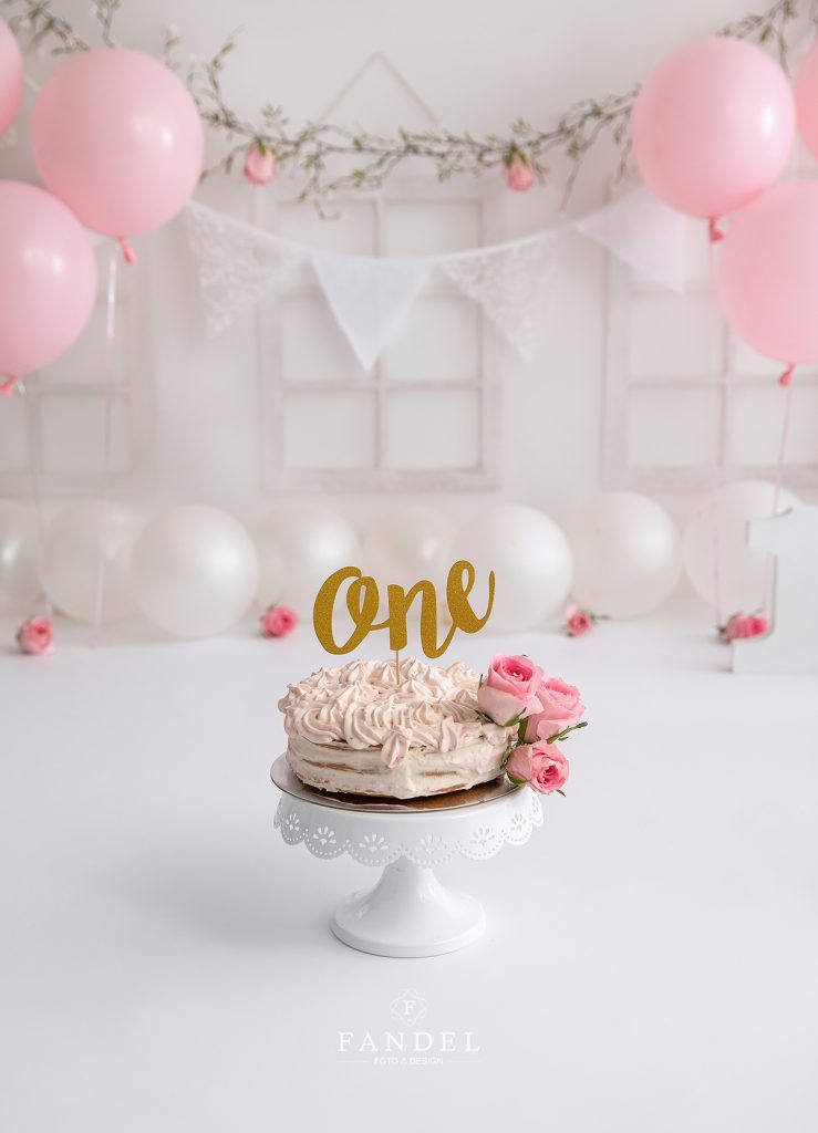 Cake Smash Fotoshooting, erster Geburtstag, zweiter Geburtstag
