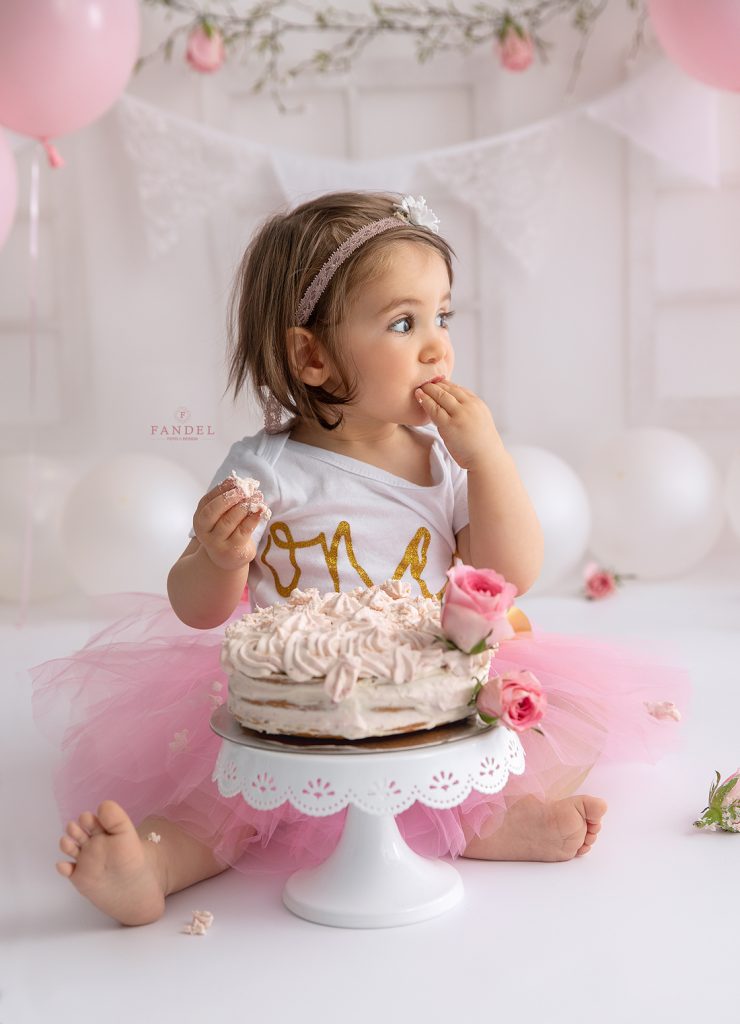 Cake Smash Fotoshooting, erster Geburtstag, zweiter Geburtstag