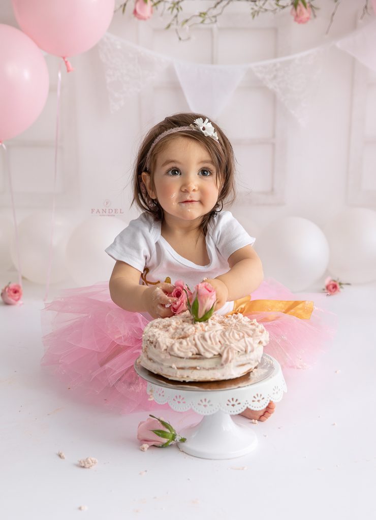 Cake Smash Fotoshooting, erster Geburtstag, zweiter Geburtstag